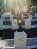image of grave number 412066